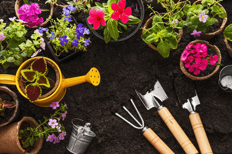 Essential Spring Gardening Tips